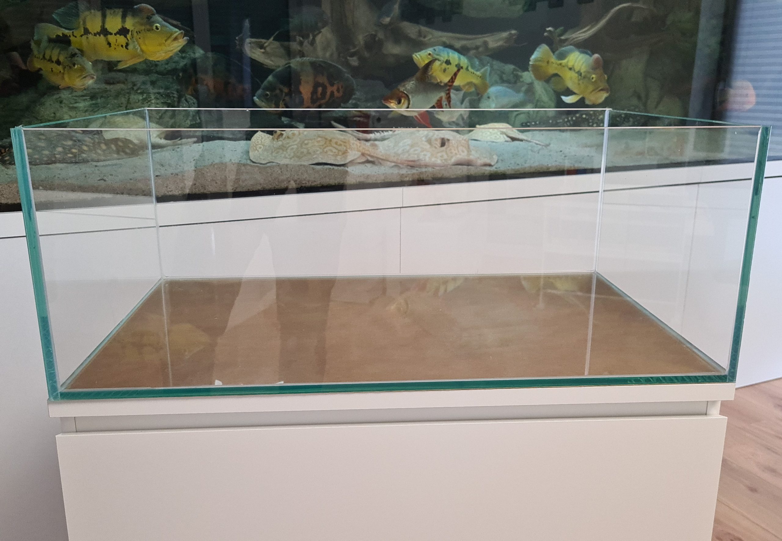 OptiWhite-Aquarium 80x50x30cm (LxTxH) 120l NEU