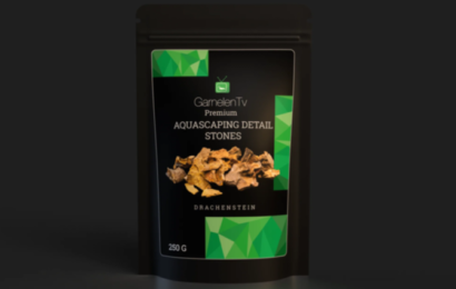 GARNELENTV – AQUASCAPING DETAIL STONES – “DRACHENSTEIN”