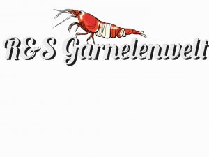 R&S Garnelenwelt
