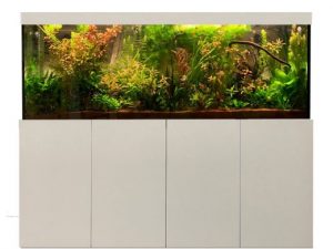 Aquarium-Kombinationen