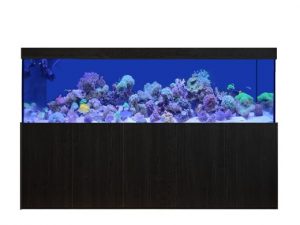 Aquarienkontor 250cm