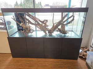 Komplett-Aquarium 200x70x70cm (LxTxH) 980l mit Unterschrank und Abdeckung in Graphit, Filterbecken (Nur Abholung in 31555)