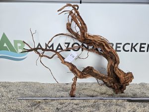 Curl Wood (DU KAUFT WAS DU SIEHST) Nr.514