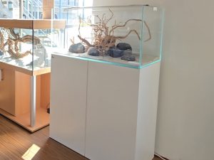 Aquatic-Kombination Weißglas-Aquarium-Komplettset 90x45x45 (LxTxH) 182l 90P Weißglas OHNE Abdeckung, Dekor: Weiß matt, Schrank fertig montiert (auf Lager in PLZ 31555)