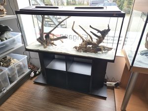 Budget-Kombination Aquarium-Komplettset 120x40x50 (LxTxH) 240l mit 20W LED-Abdeckung, Schrank fertig montiert, Dekor: Schwarz (auf Lager in PLZ 31555)