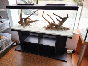 Budget-Kombination Aquarium-Komplettset 120x40x40 (LxTxH) 192l mit 20W LED-Abdeckung, Schrank fertig montiert, Dekor: Schwarz (auf Lager in PLZ 31555)