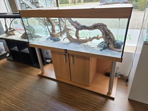 Comfort-Kombination Aquarium-Komplettset 150x50x50 (LxTxH) 375l mit 27W LED-Abdeckung, Schrank fertig montiert, Dekor: Buche (auf Lager in PLZ 31555)