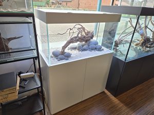 Individuell-Kombination Weißglas 100x50x50cm (LxTxH) 250l mit Unterschrank und Abdeckung in Weiß, Schrank fertig montiert (Auf Lager in PLZ 31555)