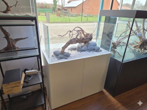 Individuell-Kombination Weißglas 100x50x50cm (LxTxH) 250l mit Unterschrank in Weiß, Schrank fertig montiert, OHNE Abdeckung (Auf Lager in PLZ 31555)