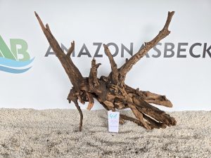 Flusswurzel (DU KAUFT WAS DU SIEHST) Nr.41