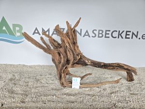 Flusswurzel (DU KAUFT WAS DU SIEHST) Nr.43