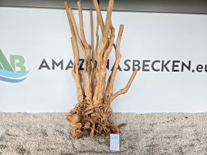 Wood Stumps (DU KAUFT WAS DU SIEHST) Nr.512