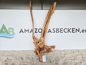 Wood Stumps (DU KAUFT WAS DU SIEHST) Nr.513