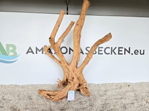 Wood Stumps (DU KAUFT WAS DU SIEHST) Nr.514