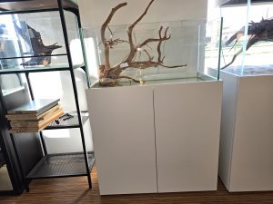 Individuell-Kombination 80x40x30cm (LxTxH) 96l mit Unterschrank in Weiß, Schrank fertig montiert, OHNE Abdeckung (Auf Lager in PLZ 31555)