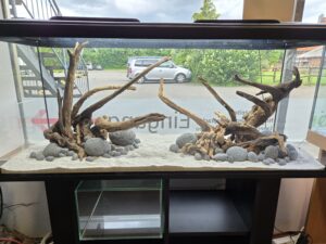 Hardscape-Set: Zen Pebbles + Flusswurzel für 120x40cm (WYSIWYG) Ausstellung
