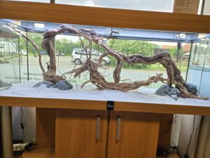 Hardscape-Set: Hakkai Stone + Curl Wood für 150x50cm (WYSIWYG) Ausstellung