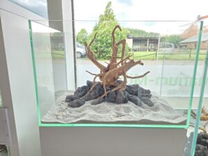 Hardscape-Set: Lavastein + Rote Moorwurzel für 60x40cm (WYSIWYG) Ausstellung