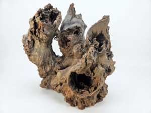 Cave Root XL 50-60cm