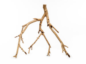 Mojave Holz XL 60-80cm