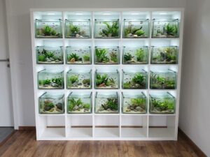 20 Stück Aquarium 33x38x22cm (LxTxH) 27l für IKEA Kallax (auf Lager in PLZ 31555)